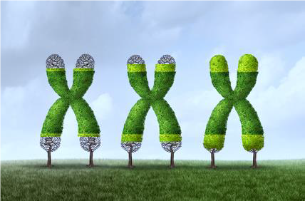 chiropractic care slows aging