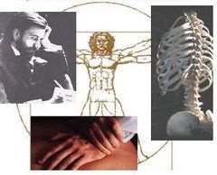 The Central Nervous System Why Chiropractic Matters